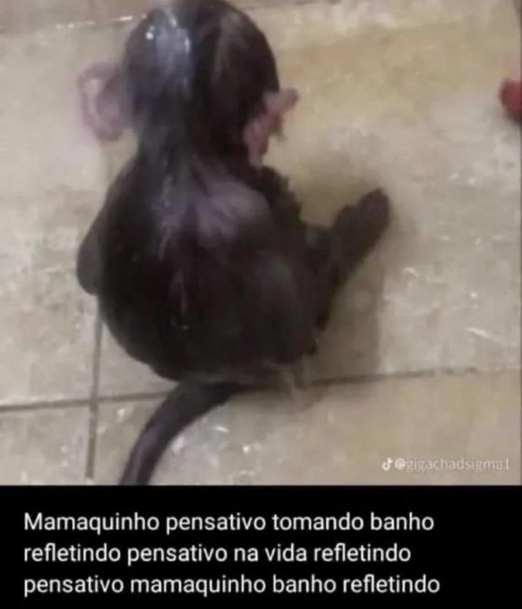 jpeg_memez's tweet photo. https://t.co/RBSduh7Uyu