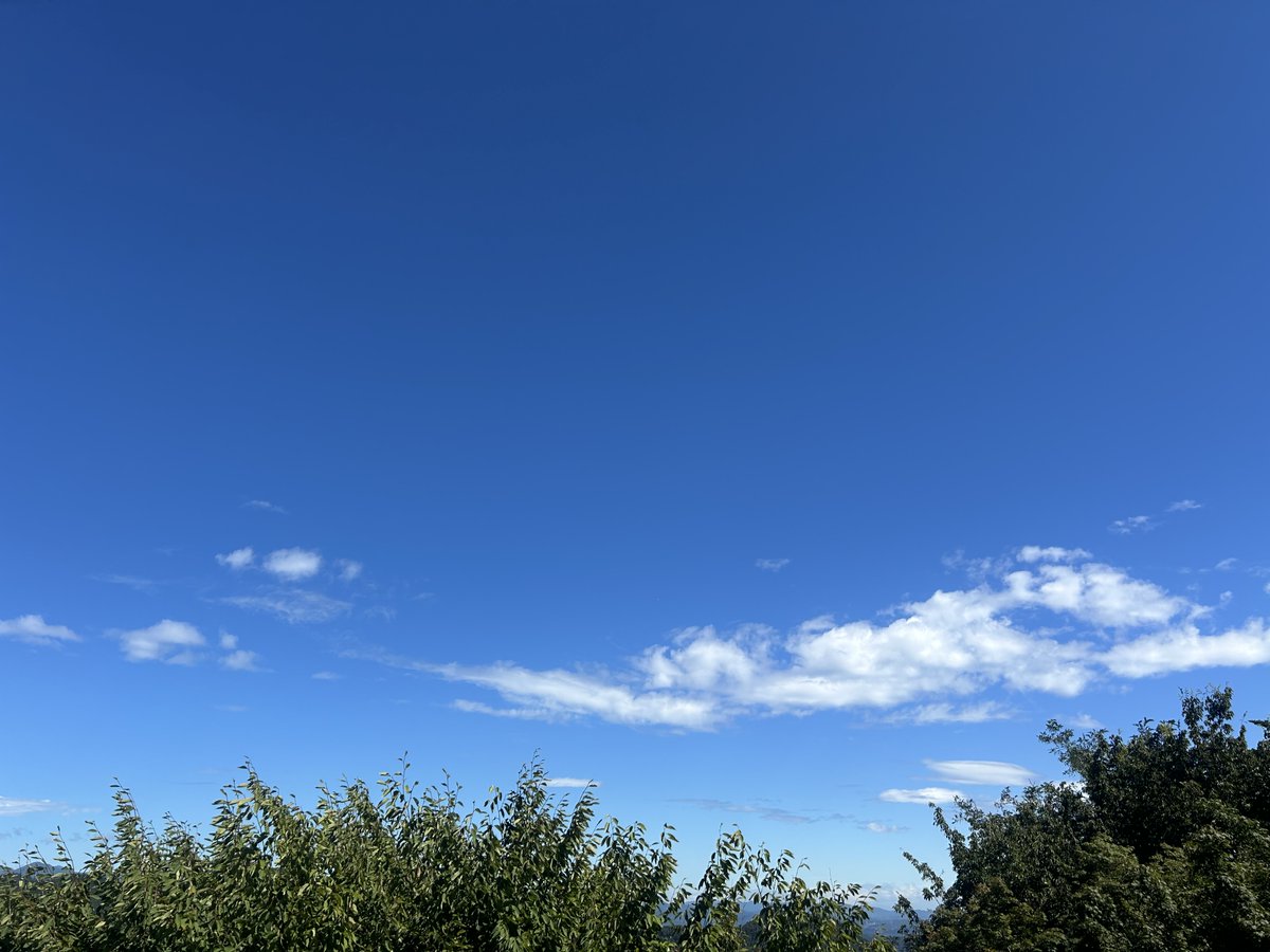 Takao_Tozan's tweet photo. おはようございます。
午前１０時００分現在、高尾山麓、ケーブルカー清滝駅、高尾山駅の天気は「晴」、気温は「２４度」です。
ケーブルカー、リフトともに通常通り運行しています。
#高尾山 #ケーブルカー #リフト https://t.co/izGQuWcdtX