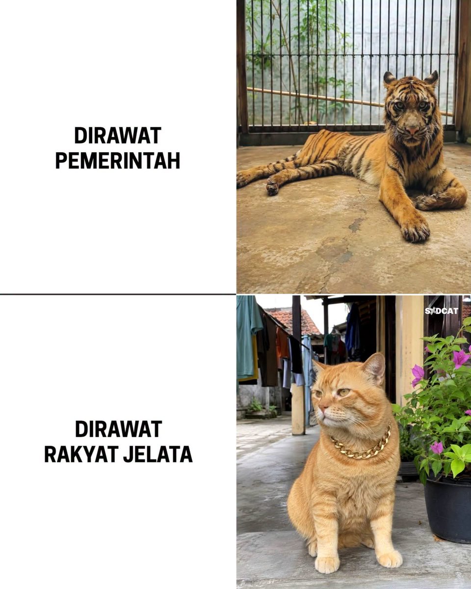 JHPrabowo_on_X's tweet photo. Demikian adanya 
😶😶 https://t.co/Yf3wKuFEvb