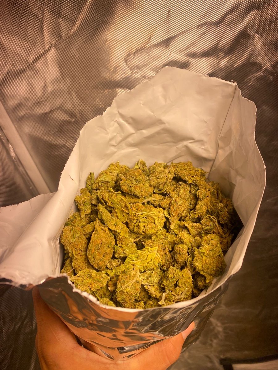 snoopweedplug's tweet photo. ✅️Boa noite família, estamos on-line para pedidos e entregas.

Cardápio aqui: https://t.co/RDS623Ipa8

⏰ Horários de funcionamento:

📍Mercadorias a pronta entrega no estado de São Paulo: até 00:30!
📍Entregas fora do estado de São Paulo: até 22:30!

#corre #sp #rj #maconha #erva #delivery