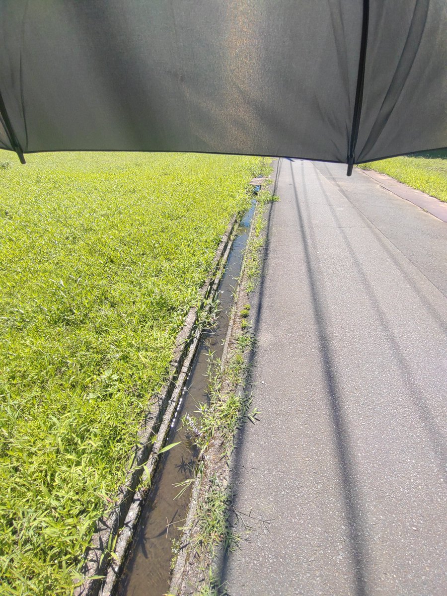 TeaTimenijika's tweet photo. たまにはゲイも悪くない https://t.co/uJylpK0ris