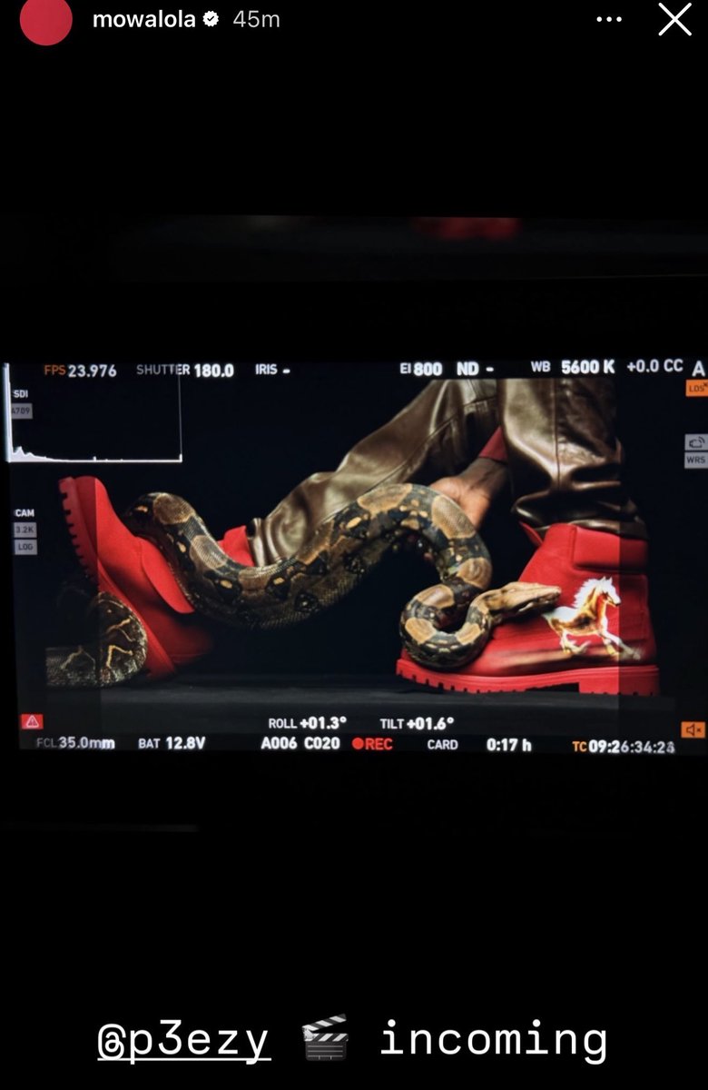 glo2mich's tweet photo. i can js tell from this pic pz’ is bout to drop a top 3 mv https://t.co/HqcX7UFvsv