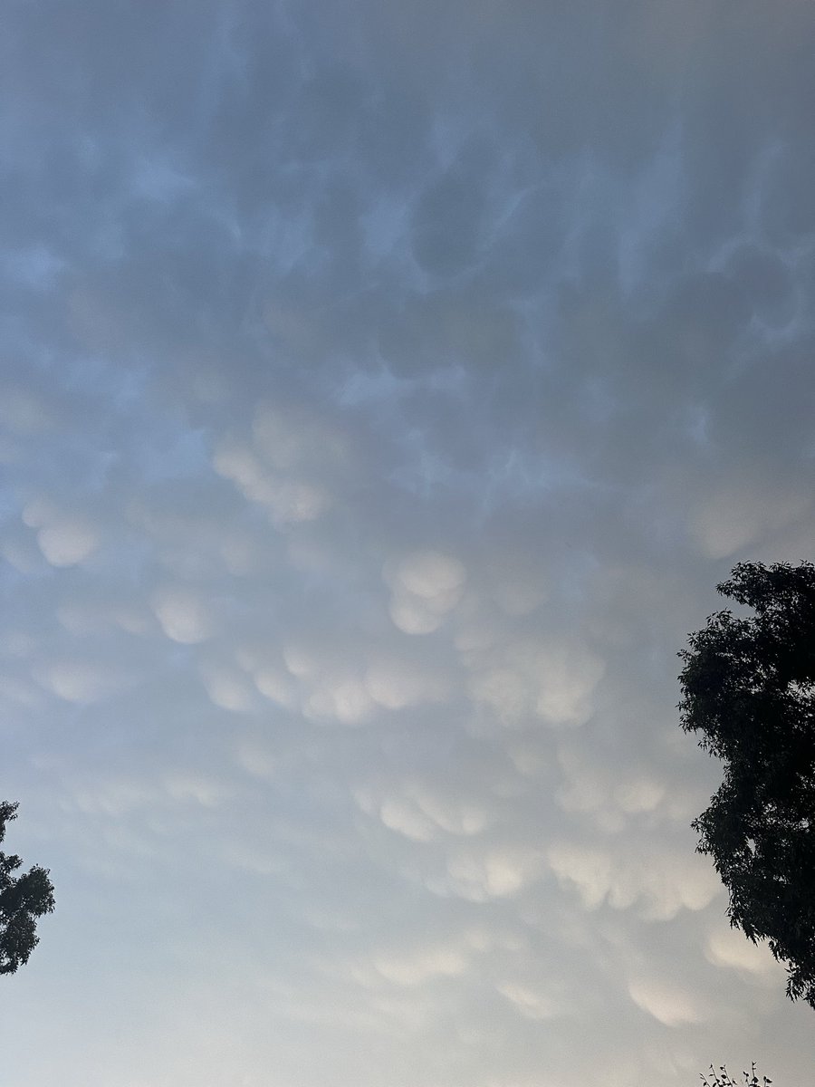 jacobhamilwx's tweet photo. Watching line of Severe Thunderstorms approaching Dawsonville, Georgia. Most vivid mammatus cloud display I’ve ever seen in North Georgia. #gawx https://t.co/n0RjdIlqEq