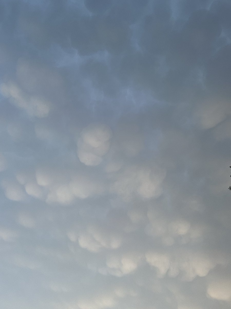 jacobhamilwx's tweet photo. Watching line of Severe Thunderstorms approaching Dawsonville, Georgia. Most vivid mammatus cloud display I’ve ever seen in North Georgia. #gawx https://t.co/n0RjdIlqEq