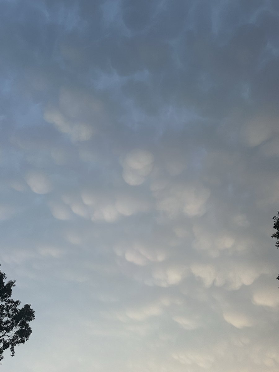 jacobhamilwx's tweet photo. Watching line of Severe Thunderstorms approaching Dawsonville, Georgia. Most vivid mammatus cloud display I’ve ever seen in North Georgia. #gawx https://t.co/n0RjdIlqEq