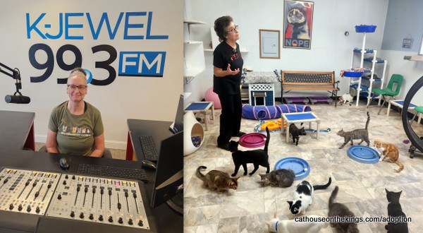 cathouseotkings's tweet photo. Did you hear what we had to say? We hope you hear our message about Clear the Shelters today. Thank you K-Jewel 99.3 FM  &amp; One Putt Broadcasting for the life-saving PSA!🐾😺 https://t.co/08BjGMGy2v