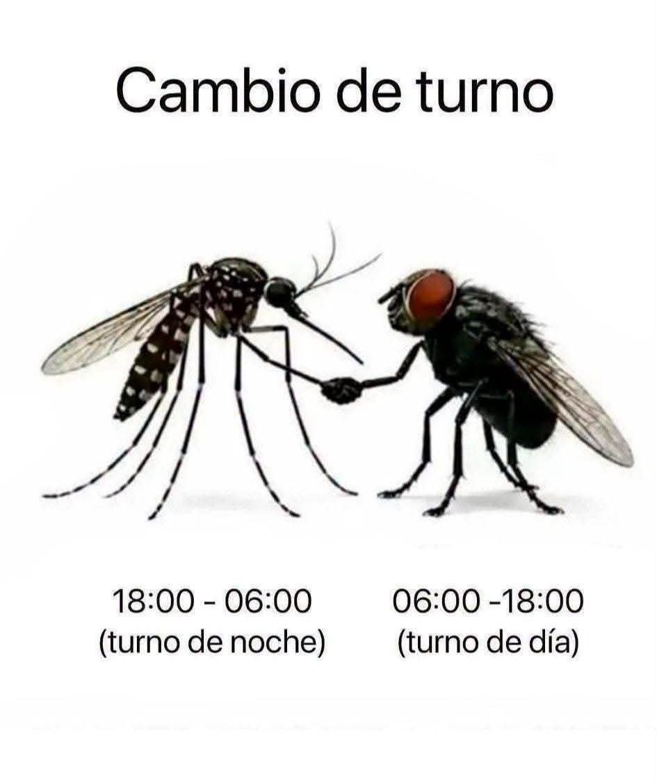 FraseSimple's tweet photo. https://t.co/qPrzQIJAI8