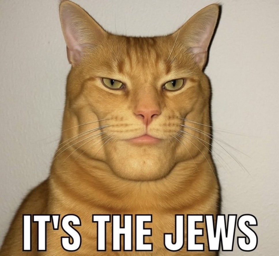 sultrytwunk's tweet photo. @AustinFranco123 You did good! It’s their religion. It’s not their government only. They call us Goyim. It’s all of them. https://t.co/Daxyk9hKyI