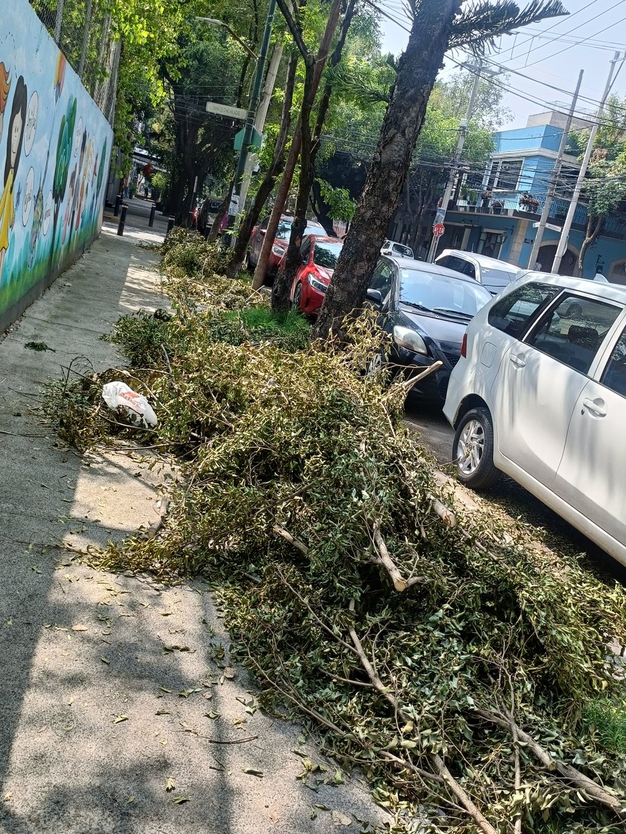 MarthaDiaz_58's tweet photo. @CFEmx @EmiliaCallejaA 
Los vecinos de la colonia Verónica Anzures solicitamos el retiro de toda las ramas que dejaron los trabajadores de CFE en sus trabajos de liberación de cables
El domingo pasado..por favor 
@Vaquero1214 
@VecinosvAnzures https://t.co/eoyMzIJLSF