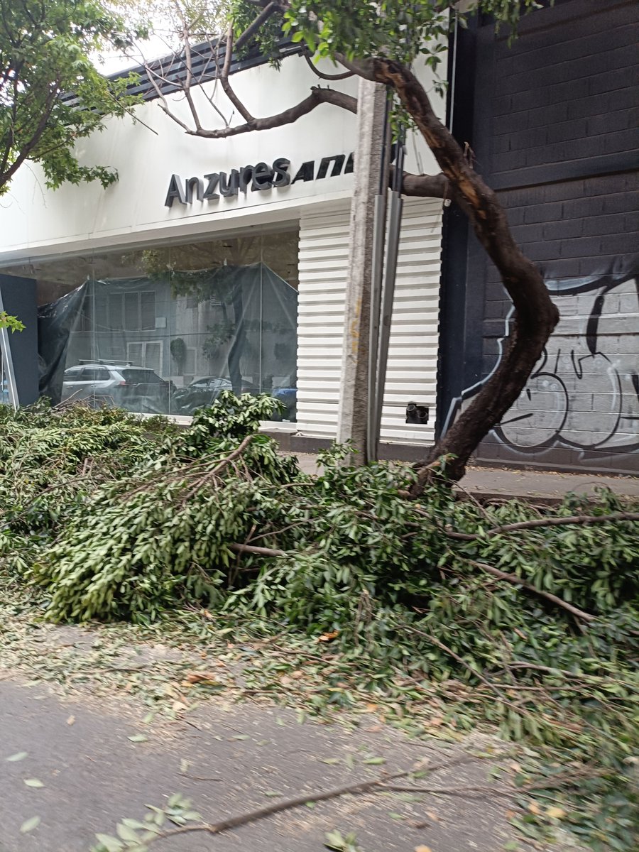 MarthaDiaz_58's tweet photo. @CFEmx @EmiliaCallejaA 
Los vecinos de la colonia Verónica Anzures solicitamos el retiro de toda las ramas que dejaron los trabajadores de CFE en sus trabajos de liberación de cables
El domingo pasado..por favor 
@Vaquero1214 
@VecinosvAnzures https://t.co/eoyMzIJLSF