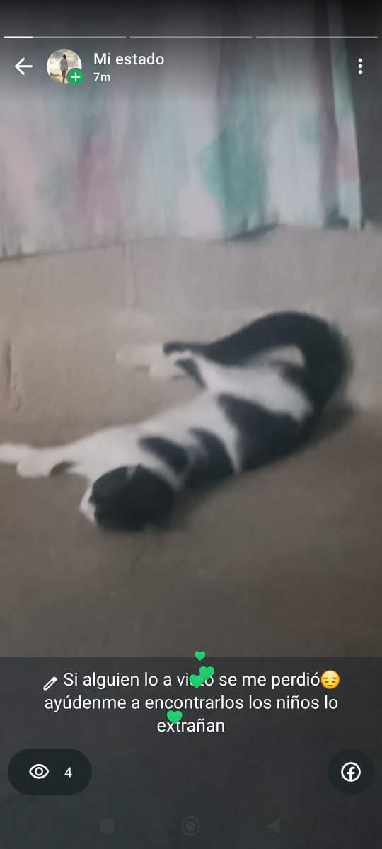 AlertaMePerdi's tweet photo. #PERDIDO #GUAYAQUIL
Nombre: #Garfi
Fecha: 2026-07-26
Sector: Norte, Flor de bastión bloque 8
Sexo: Macho
Raza: Mestizo
Observación: Es un gato blanco con manchas negras
Contacto: 0986462805
¡Ayúdalo a volver con su familia!
#AlertaMePerdí https://t.co/Hh5iD3WMQ7