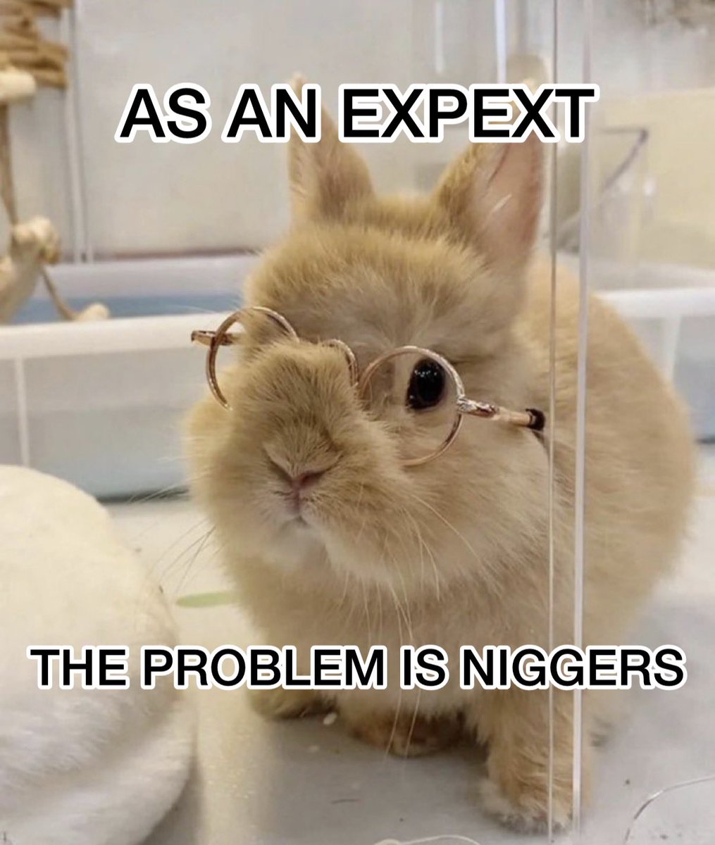 Ｂｕｎｎｙｍａｘｘｅｒ tweet media