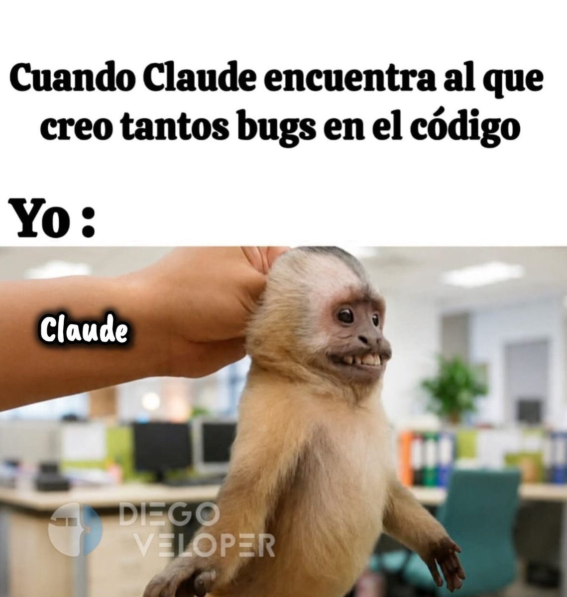 Memes de programación tweet media