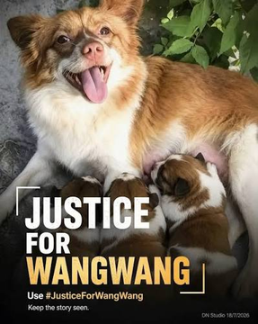 Cockato47613097's tweet photo. #JusticeForWangWang🐶🙏
#RememberWangWang
#旺旺を忘れない。
動物虐待は凶悪犯罪の予兆でもあり、決してこの虐殺事件を風化させてはならない。
世界中に拡散しよう!
🇯🇵https://t.co/01OI518XNR
🇺🇸https://t.co/ykWmg6bbsJ
🇲🇾https://t.co/hEDDclo16y https://t.co/hCNlamDNWW
