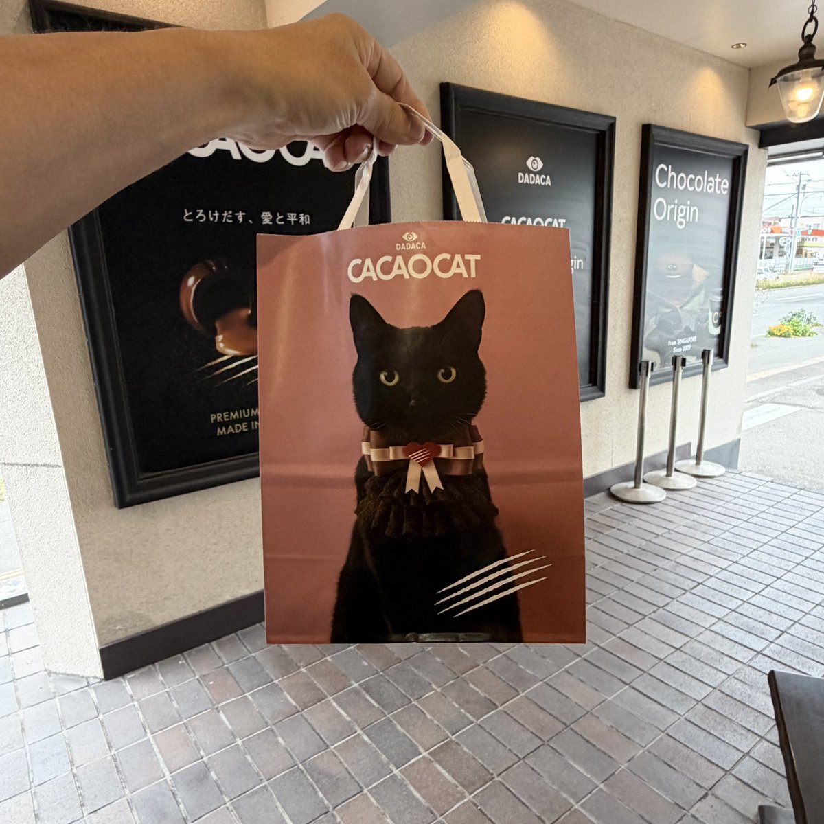 AltiriChiba_007's tweet photo. CACAOCAT
セーラームーン缶ゲットだぜ‼️ https://t.co/wKrZRwXOil