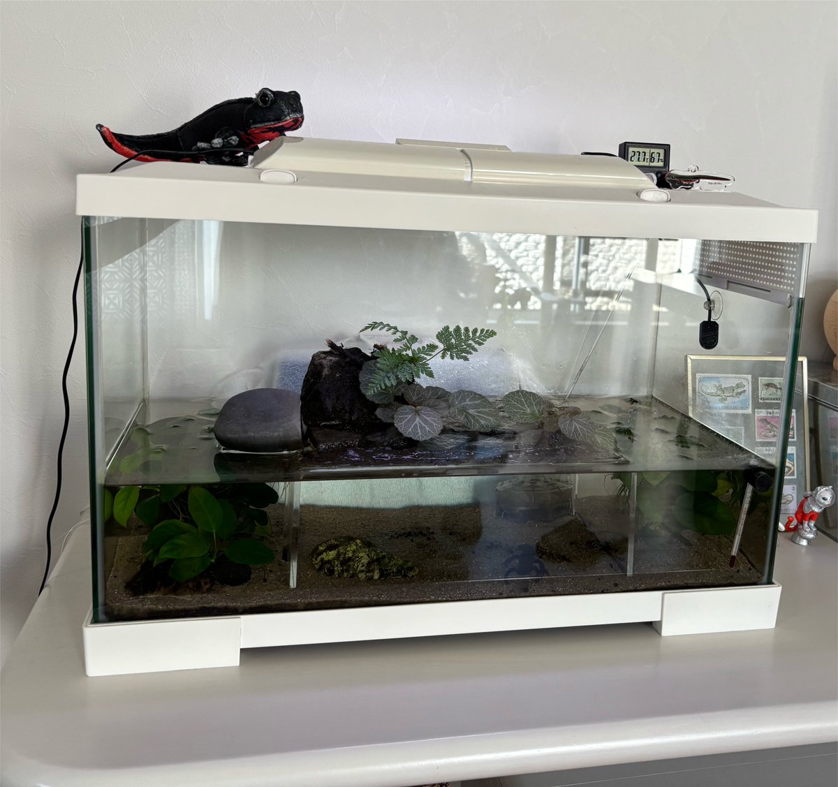 imococoo's tweet photo. 東日本のときも金魚鉢とか大丈夫だったし実家の水槽もいつも無事だし水槽って意外と動かないんだなって思ってたけど報道とか見ててこれだけ揺れるとダメな気がしてきた
水槽ってどう地震対策したらいいの…
ここまでくると床に置くくらいしか思いつかない… https://t.co/IQOdd3Ik4S