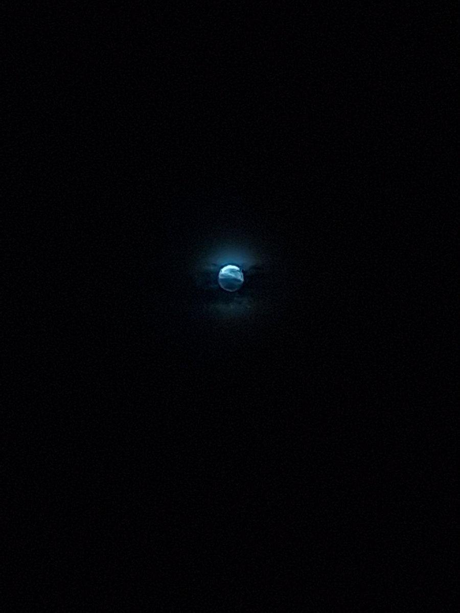 WEREW0LFL0VER's tweet photo. 12 am smoke sesh under da full moon https://t.co/OBVWWVTeDk