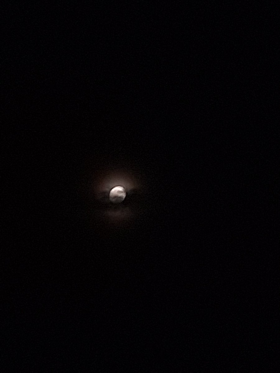 WEREW0LFL0VER's tweet photo. 12 am smoke sesh under da full moon https://t.co/OBVWWVTeDk