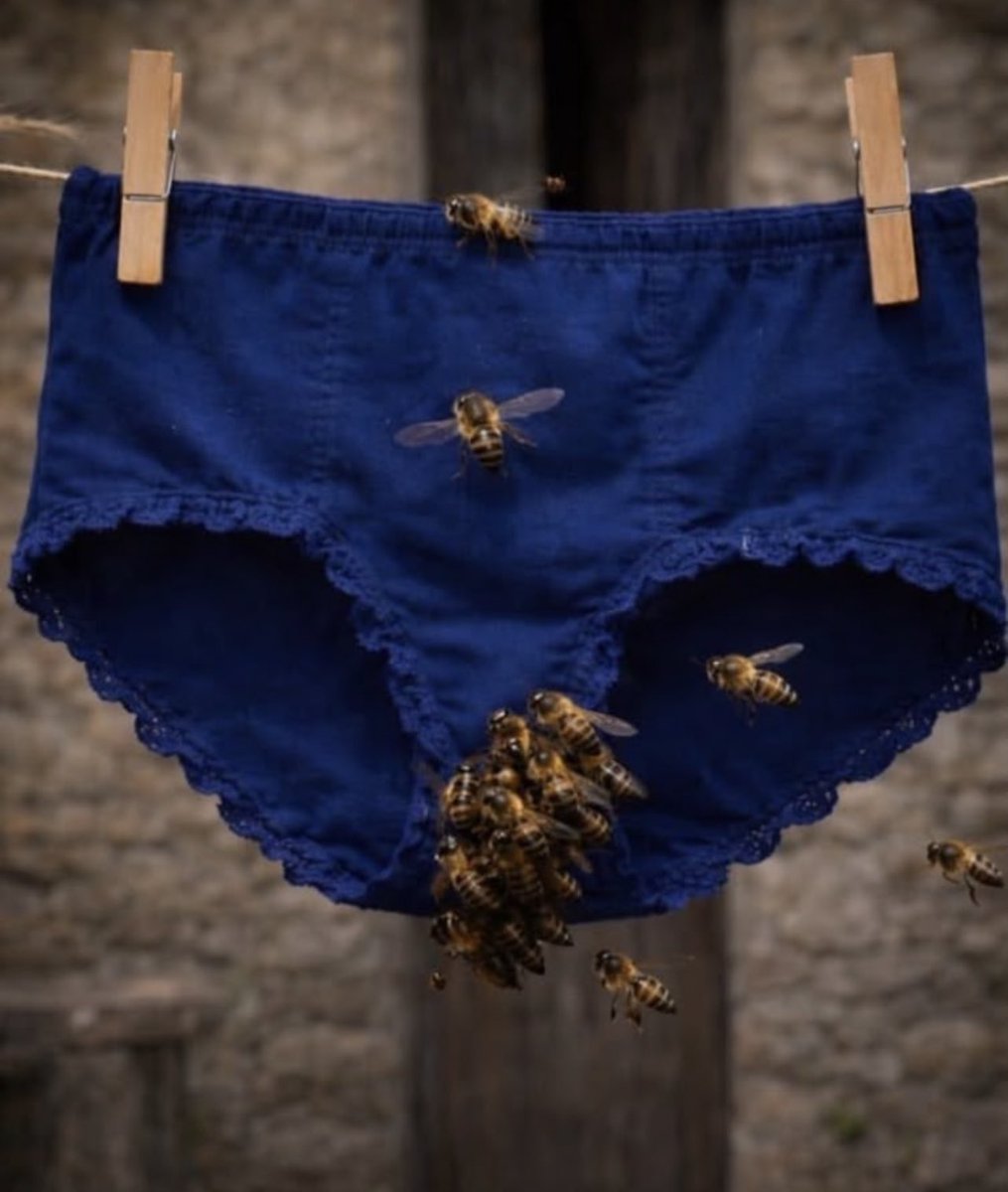 _YKbrown's tweet photo. Why are the bees attracted to the pants though? 🤔 https://t.co/uNDwD2xqSK