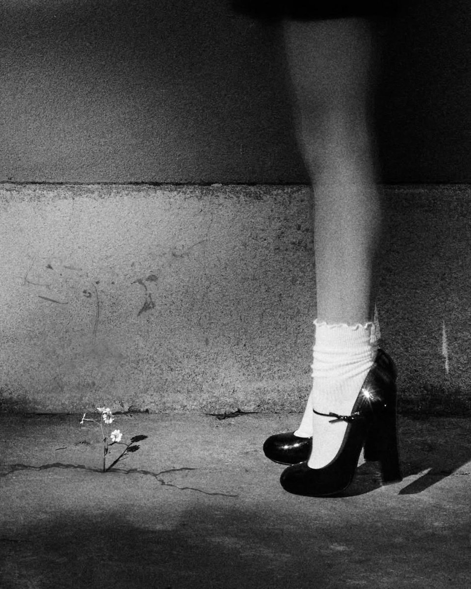 ArianaTeam_ITA's tweet photo. 🚨 “petal” di Ariana Grande verrà rilasciato ufficialmente tra 2 GIORNI. https://t.co/ujaWJo5hXa