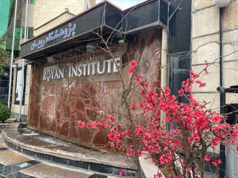 Iran First tweet media