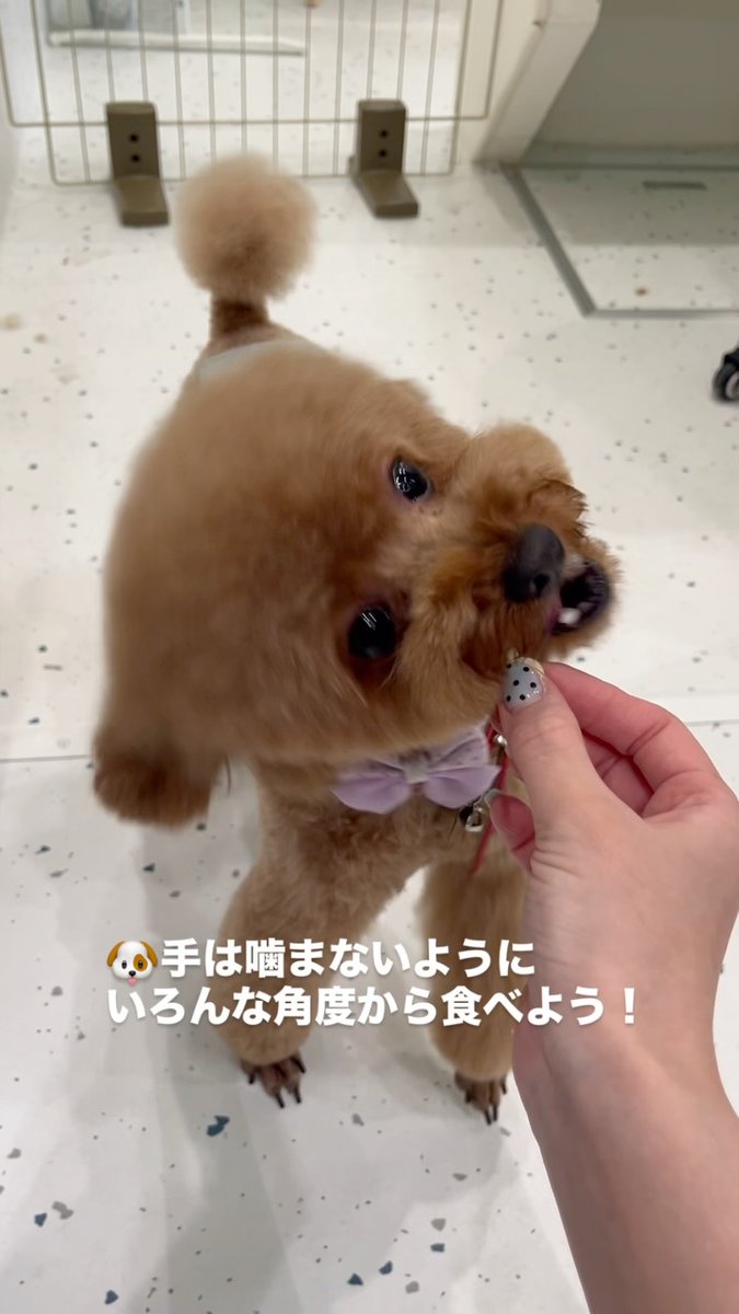 _wandog_'s tweet photo. https://t.co/g8kMqpyNWk