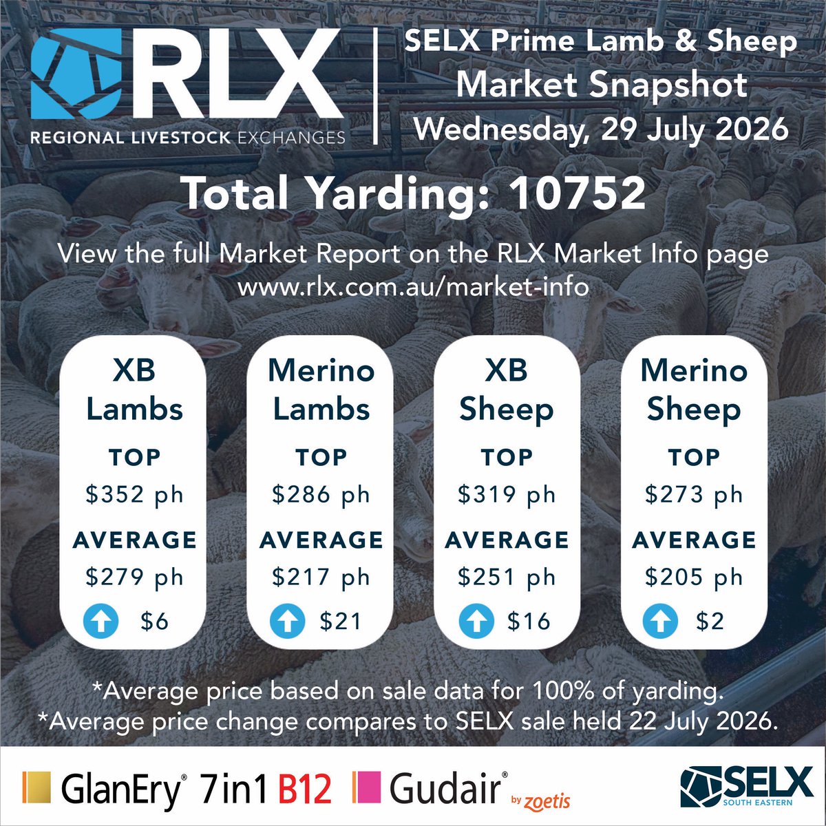 SELXNSW's tweet photo. Market Snapshot - detailed market report @ https://t.co/nFu9n5p6Zh
Prime Lamb & Sheep, 29 July 2026
Brought to you by Livestock Solutions With Zoetis
#RLX #SELX #hammertime #sheep #lambs #ewes #merino #xbsuckers #xblambs #livestock #saleyards #aussielamb #FoodAndFibre https://t.co/cxv8xjSbZd