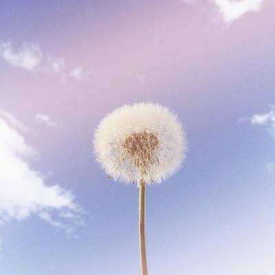 hubcycles's tweet photo. The rise of AI transforms our world. From supercomputers to NFTs, it boosts efficiency by 25%. Global investments fuel its rapid growth. This innovation shapes a dynamic future for industries. Global investments fuel its rapid growth. 💼 🧢 https://t.co/etkxH0c8c2