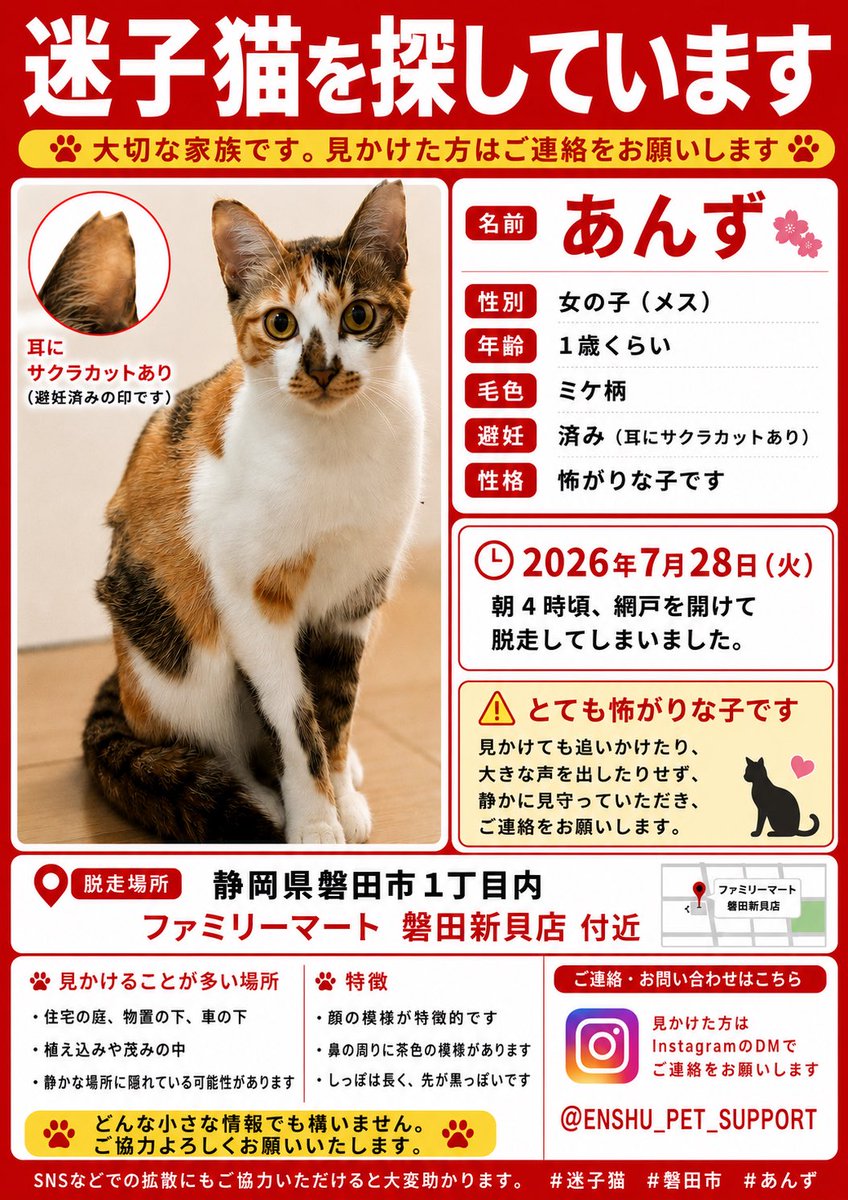 smilexxxmicha's tweet photo. 🚨 里親に譲渡した子が迷子猫になってしまいました🚨
【脱走日時】2026年7月28日（火）午前4時頃ファミリーマート磐田新貝店付近で脱走してしまいました。
どんな小さな情報でも構いません。
見かけた方はDMまたはご連絡をお願いいたします。
#迷い猫  #猫探しています  #拡散希望  #磐田市 #新貝 https://t.co/5dgbE8sptf