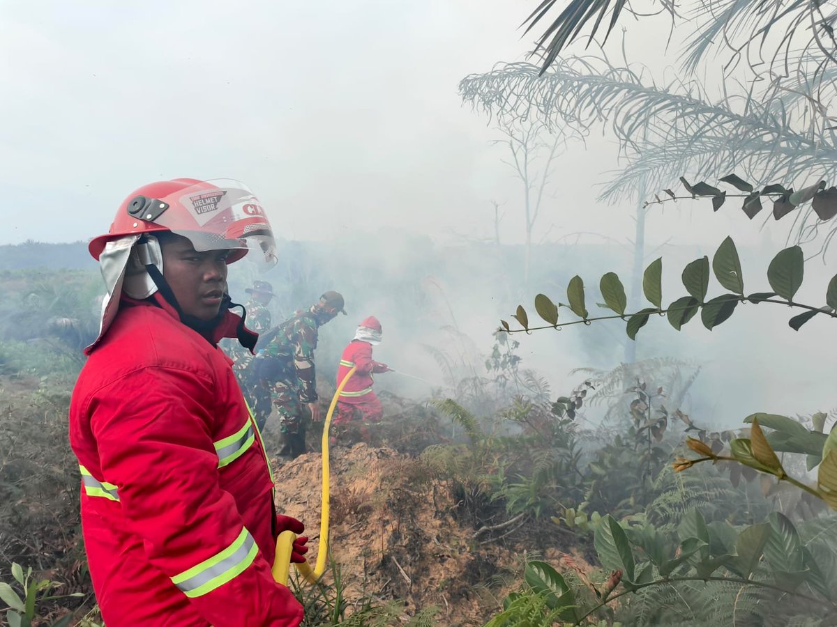KodimSintang's tweet photo. Kodim 1205/Sintang Terjunkan Personel Bantu Padamkan Kebakaran Lahan di Desa Penjernang https://t.co/6DlD5SDyYm