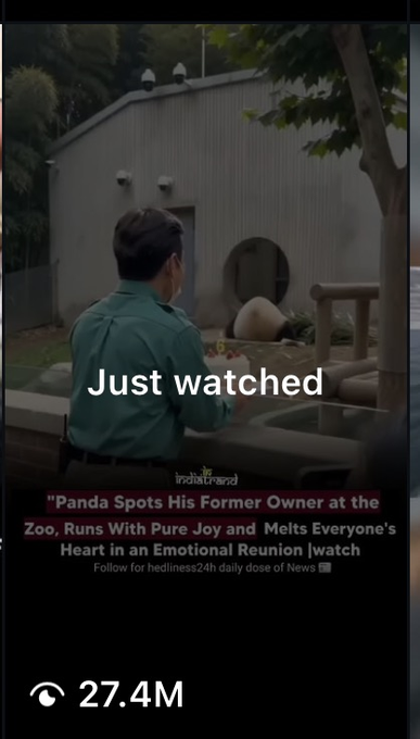 AMGNFA's tweet photo. This instagram post of this panda has been going hella viral for the past couple days. 

Over 2m like's and 27 MILLION views

This panda was digging a whole until all of a sudden the zookeeper showed up and the panda turned around with the most SHOCKED expression you will ever see

You can watch the video and see for yourself - https://t.co/eYgRPyefbZ

This is such a good narrative, will grab dex at 15k like always