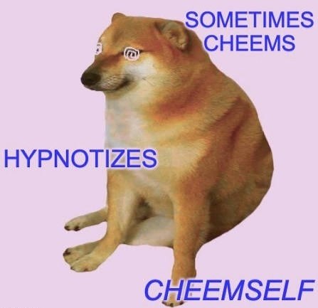 CheemsRH's tweet photo. henlo frens
cheems just hypnotized cheemself again
send snaccs to bring him backem https://t.co/P5b2M7exDk