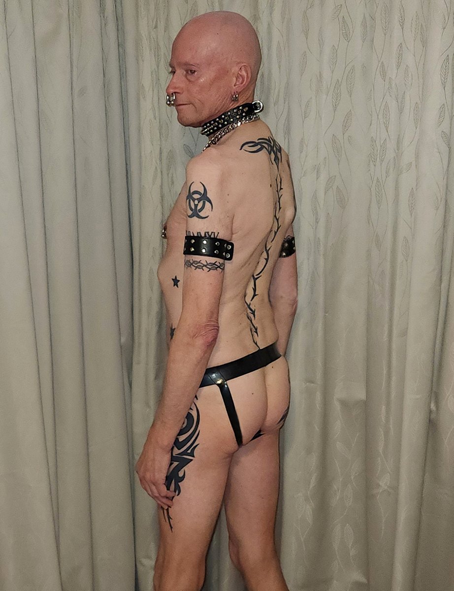 GaySubNZ's tweet photo. My favourite gear, latex jockstrap, thick cuban link chain, septum, studded collar, arm bands, and a butt plug up my ass 🏴‍☠️😈🐷🅱️🅱️💦☣️🦂 🏳️‍🌈 #Slut #BB #Rawislaw #Cumdump #GayNZ https://t.co/nZFfpIZBX0