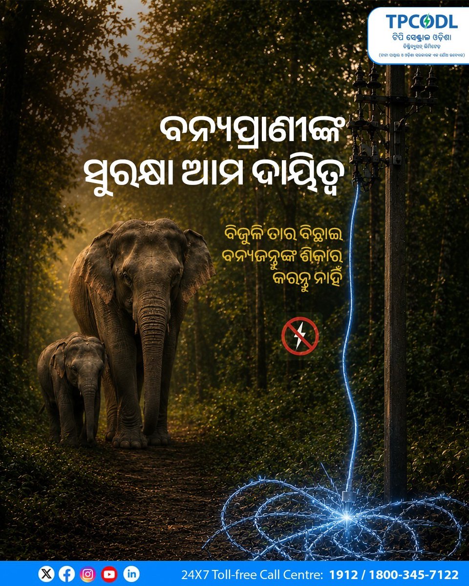 TPCentralOdisha's tweet photo. ହାତୀଙ୍କ ସୁରକ୍ଷା ପାଇଁ ସଂକଳ୍ପ ନେବା । ବିଦ୍ୟୁତ୍ ତାର ଲଗାଇ ହାତୀ ଶିକାରକୁ ବନ୍ଦ କରିବା ଦିଗରେ ପଦକ୍ଷେପ ନେବା ।
ଏଭଳି ଘଟଣା ଆପଣଙ୍କ ନଜରକୁ ଆସିଲେ ତୁରନ୍ତ ନିକଟସ୍ଥ ବିଦ୍ୟୁତ୍ କାର୍ଯ୍ୟାଳୟ କିମ୍ବା ବନ ବିଭାଗକୁ ଜଣାନ୍ତୁ।
#TPCODL #SaveElephant #StopPoaching
@CMO_Odisha @TataPower @SecyChief @IPR_Odisha @OPTCL_Odisha @OPGC_ODISHA @GridcoOdisha @KVSinghDeo1