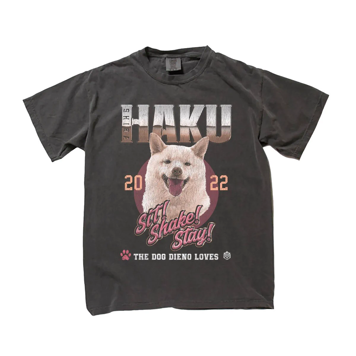 武知海青 DDT Tシャツ2種 武知海青 DDT Tシャツ2種 THE RAMPAGE”武知海青×DDTオフィシャルグッズ