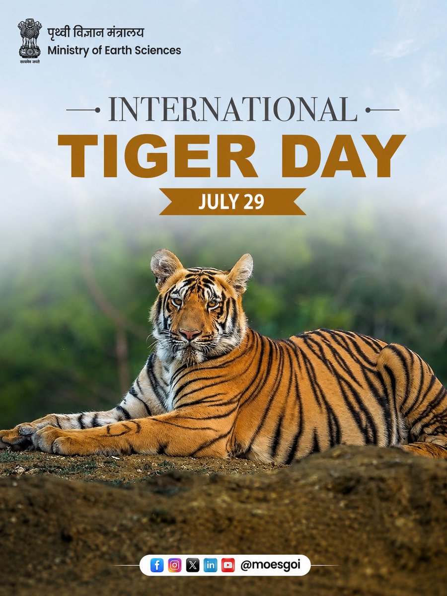 moesgoi's tweet photo. International Tiger Day reminds us of the majestic beauty and vital role of tigers in maintaining ecological balance. 

Let’s appreciate their presence in the wild and stay aware of the importance of protecting their natural habitats. 🌿 

#InternationalTigerDay #SaveTheTiger #WildlifeAwareness 

@narendramodi @mygovindia @PMOIndia @DrJitendraSingh @OfficeOfDrJS @PIB_India @MIB_India