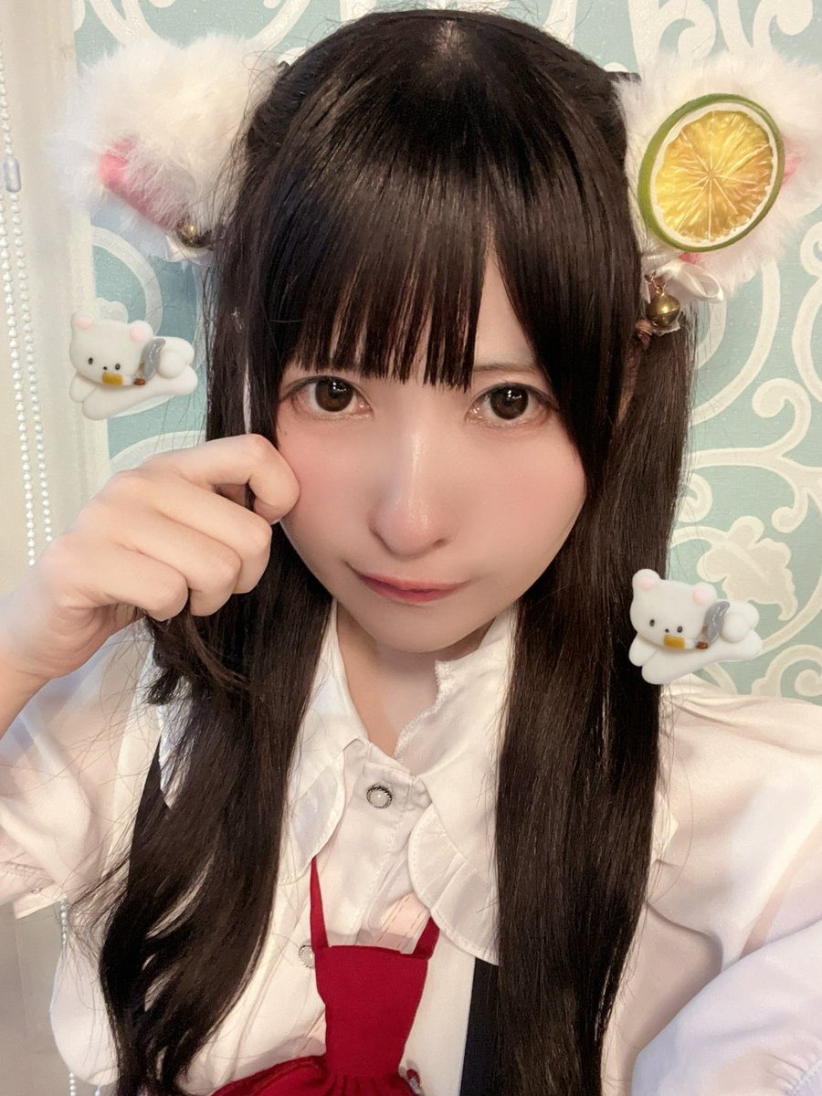 _kocchimuite's tweet photo. 猫の手借りときますか？ https://t.co/gNHIZp2Nxm