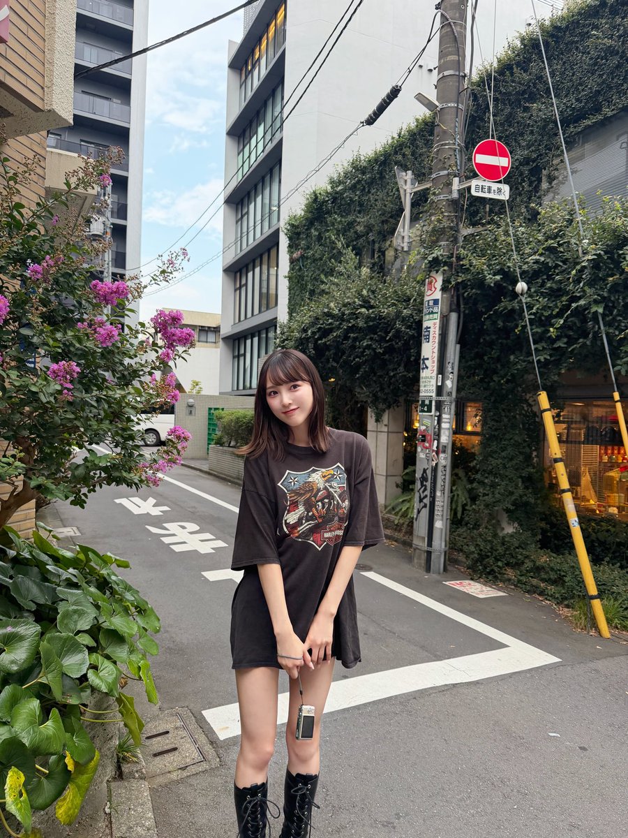みっちゃん (@kotyo4nobu) / Posts / X