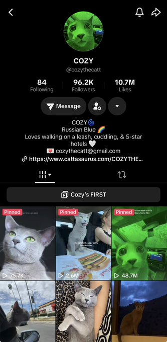 AMGNFA's tweet photo. THIS IS GENNY

I ONBOARDED THE OWNER OF COZY THE GREEN CAT

literally one of the most viral animals and super memeable, talked with the owner and agreed to put ca also redirecting 100% of the fees to their wallet

TikTok: https://t.co/kXhE9XtLXf

Paying dex at 25k &amp; linking com https://t.co/uqpmfrXFuV