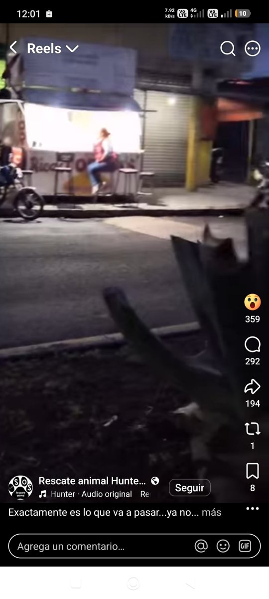 LicAnimalista's tweet photo. Atención @FiscaliaEdomex  en Ecatepec una persona de rojo que atiende un puesto de tortas amenaza con envenenar (gracias Pedro Sola @VentaneandoUno ) a perros sin hogar. Aquí la información, urge su intervención. @delfinagomeza @propaem_sma https://t.co/gPqtR8A9Bx