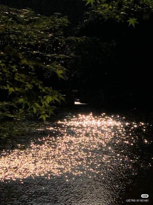 mira_beant's tweet photo. the water’s glowing reflection https://t.co/IaEcFchoRh