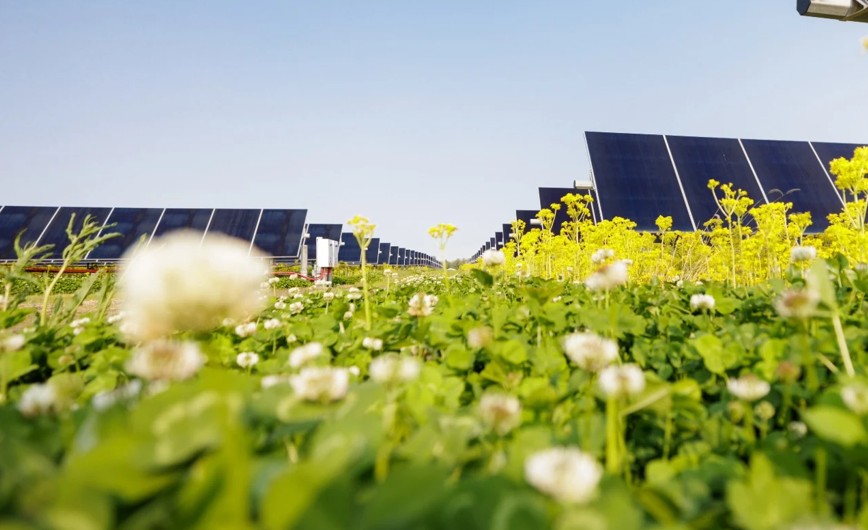 renewablemirror's tweet photo. @Lightsourcebp and @Meta have finalized a long-term #PPA to support #MowataSolar, a 172MWdc (150MWac) #solarproject in development in Acadia Parish, Louisiana.
Read More - https://t.co/IXYyEgmIMs
#RenewableMirror #ElectricalMirror #ConstructionMirror https://t.co/9Qt4UWL11g