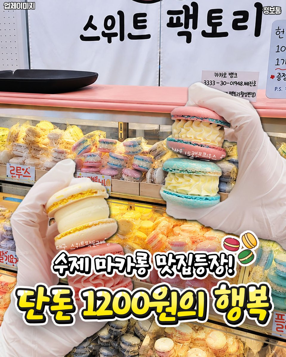 daegu_sources's tweet photo. .
🏃 대구에서 경기 뛰고 아이브도 본다고?!

2026 대구세계마스터즈육상경기대회
참가 접수 마감이 얼마 안 남았음!

만 35세 이상이면
선수 출신 아니어도 참가 가능👌

100m, 200m, 400m부터
하프마라톤, 10km, 높이뛰기, 장대높이뛰기까지
총 34개 종목이 준비돼 있음🏅… https://t.co/cyFsc3xqlN