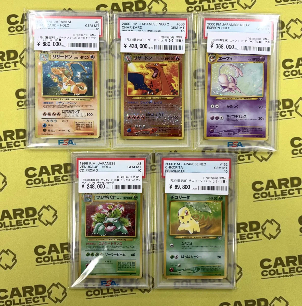 ポケモンカード　ファイル　旧裏　ポケカ カードコレクト秋葉原 @ポケモンカード PSA 買取 旧裏 Pokemon Card on