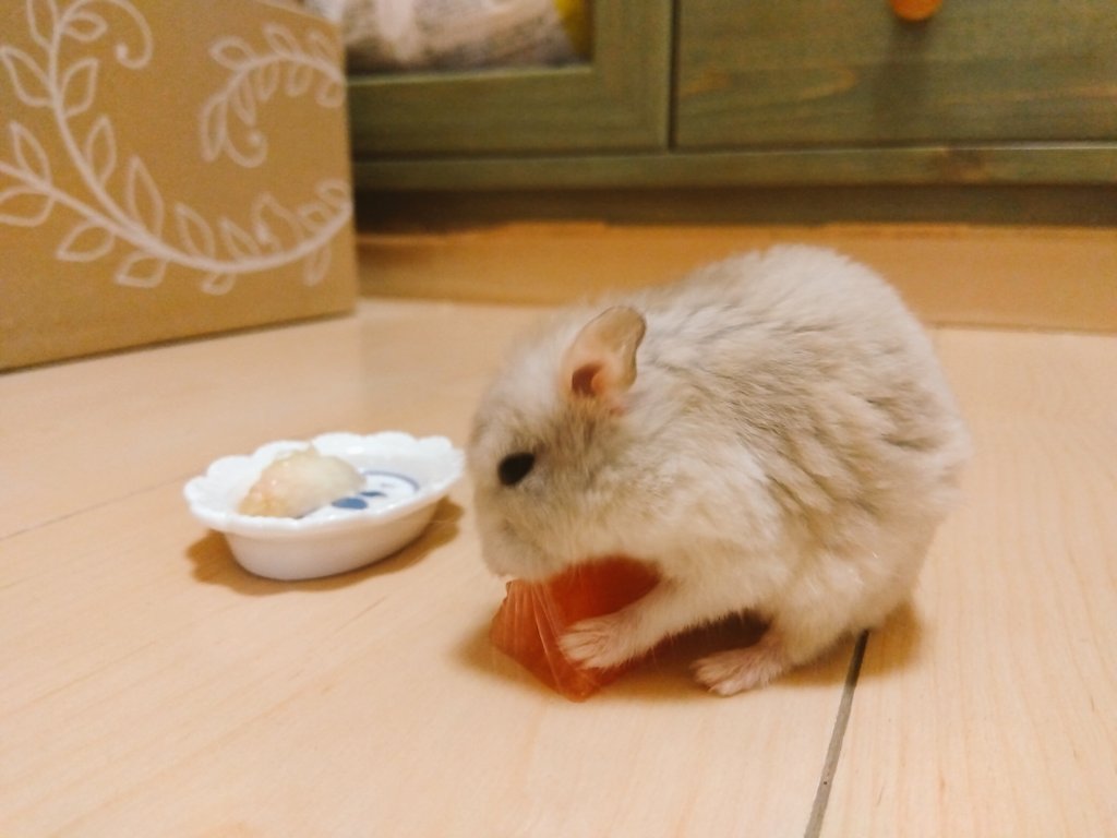 ゆ～📝 tweet media