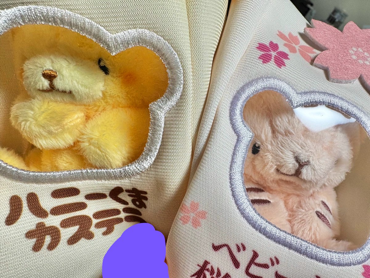 _030s's tweet photo. お迎えできた✨���愛い〜🧸🐯 https://t.co/4WFKSAC7Ft