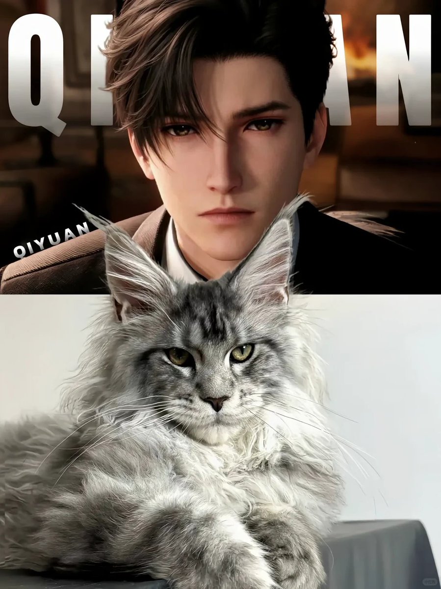 yuzu_deepspace's tweet photo. お気に入りのねこちゃんを選んで！🐈✨

cr.冰影爱偷菜
#恋と深空 #LoveandDeepspace #러브앤딥스페이스 https://t.co/CtXrRD3KpP