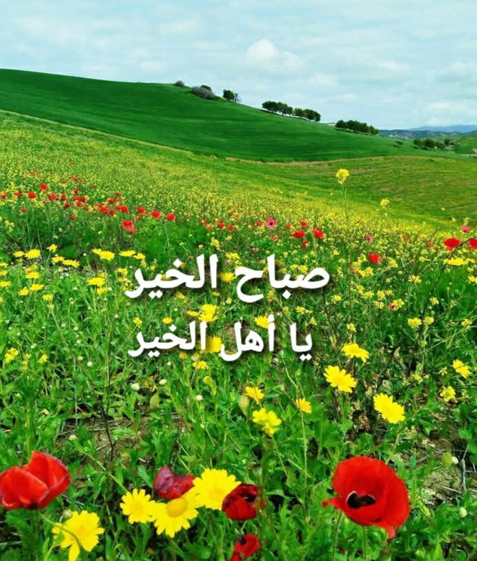 LatofaOb's tweet photo. 💚Good morning every one💚 https://t.co/kS7oz1J91h