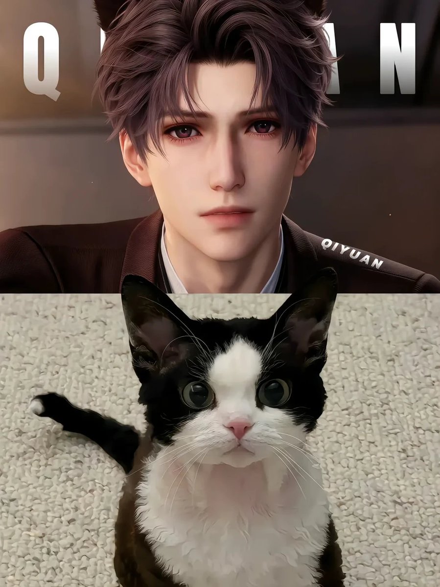 yuzu_deepspace's tweet photo. お気に入りのねこちゃんを選んで！🐈✨

cr.冰影爱偷菜
#恋と深空 #LoveandDeepspace #러브앤딥스페이스 https://t.co/CtXrRD3KpP
