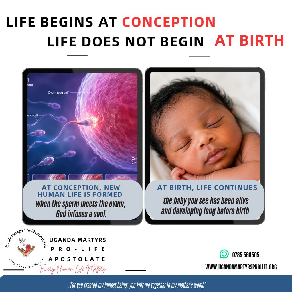 ProlifeUmpa's tweet photo. At birth, the baby only changes location, https://t.co/QMTDEbgPmp